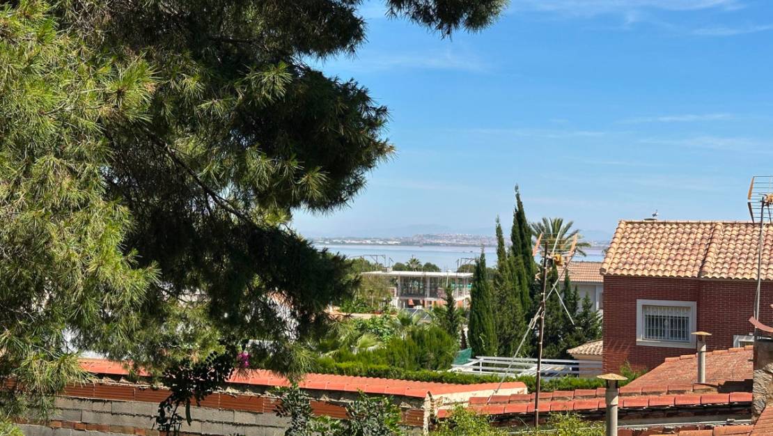 Sale - Villa - Torrevieja - Torrevieja Centro