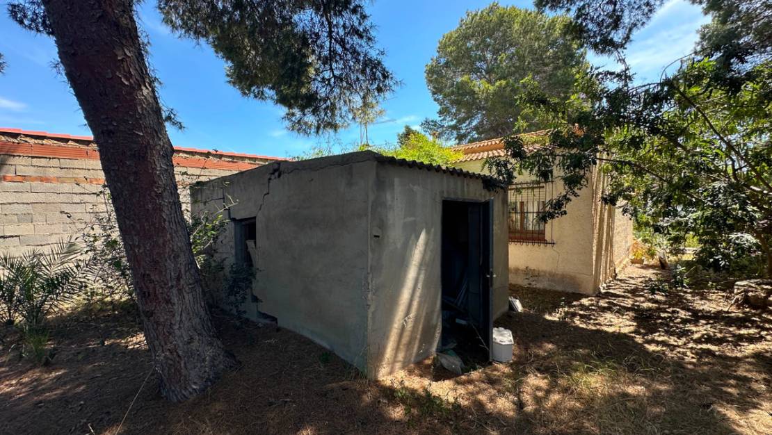 Sale - Villa - Torrevieja - Torrevieja Centro