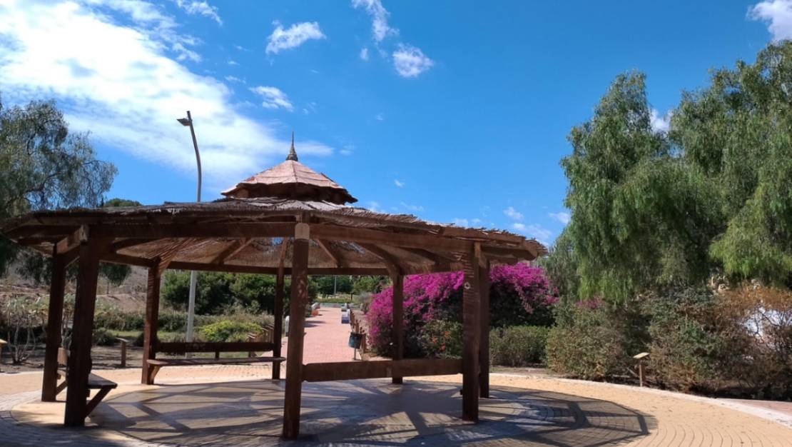 Sale - Villa - Torrevieja - Torrevieja Centro
