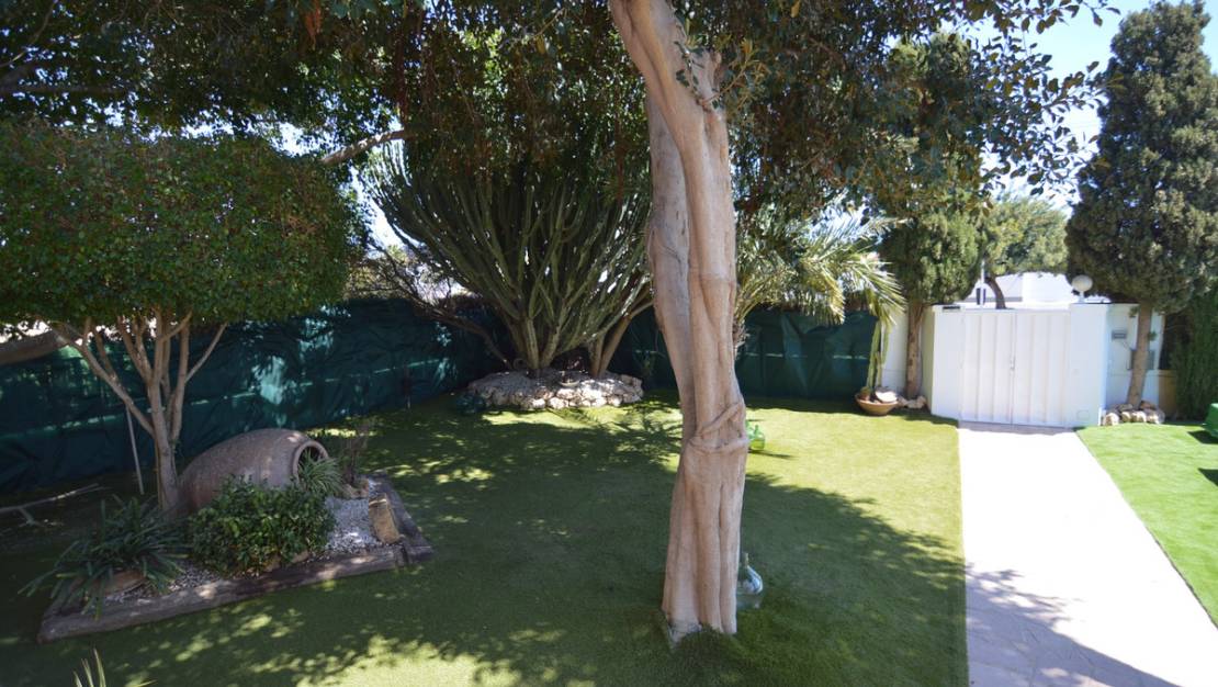 Sale - Villa - Torrevieja - Torrevieja Centro