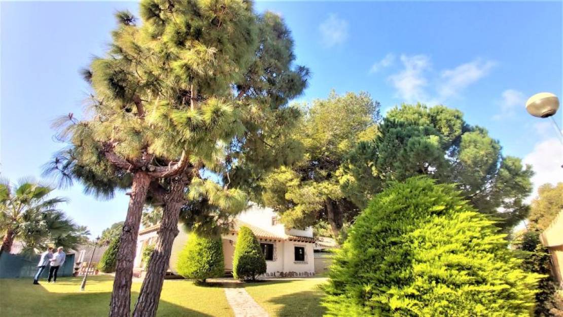 Sale - Villa - Torrevieja - Torrevieja Centro