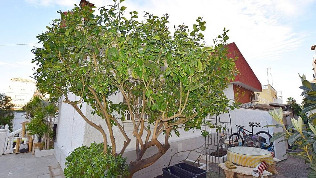 Sale - Villa - Torrevieja - Torrevieja Centro