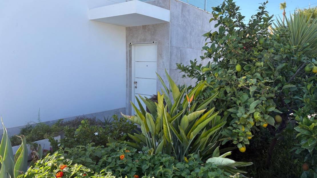 Sale - Villa - Torrevieja - Torrevieja Centro