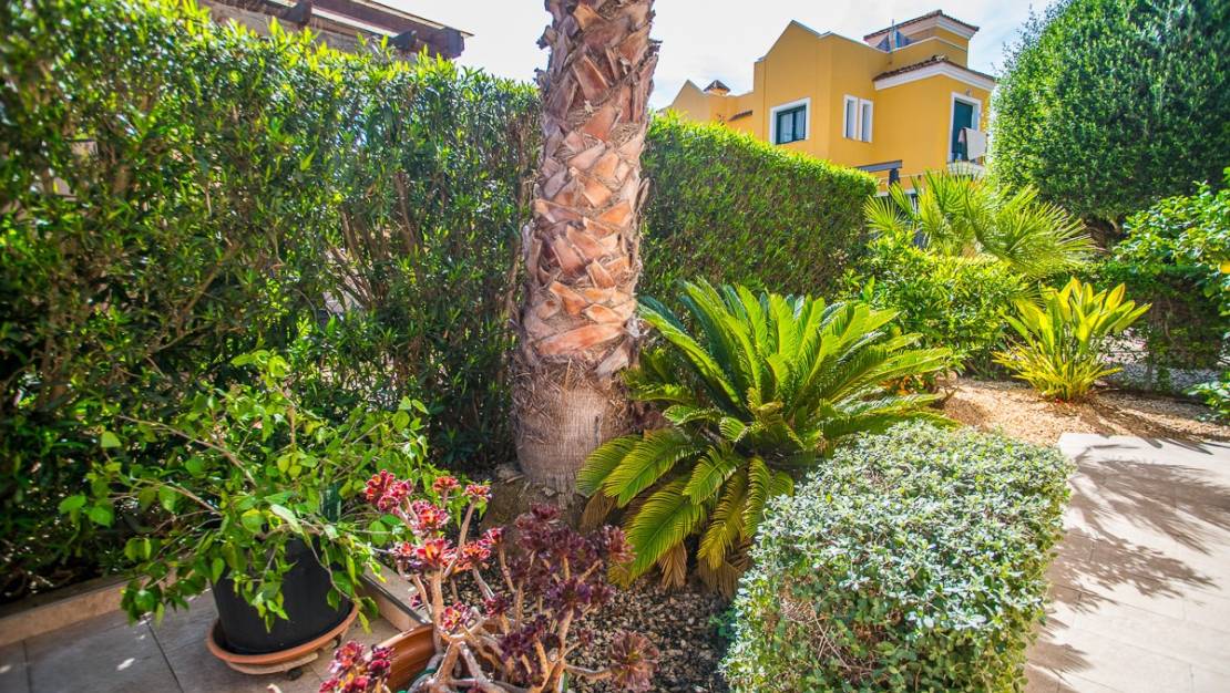 Sale - Villa - Torrevieja - Torrevieja Centro