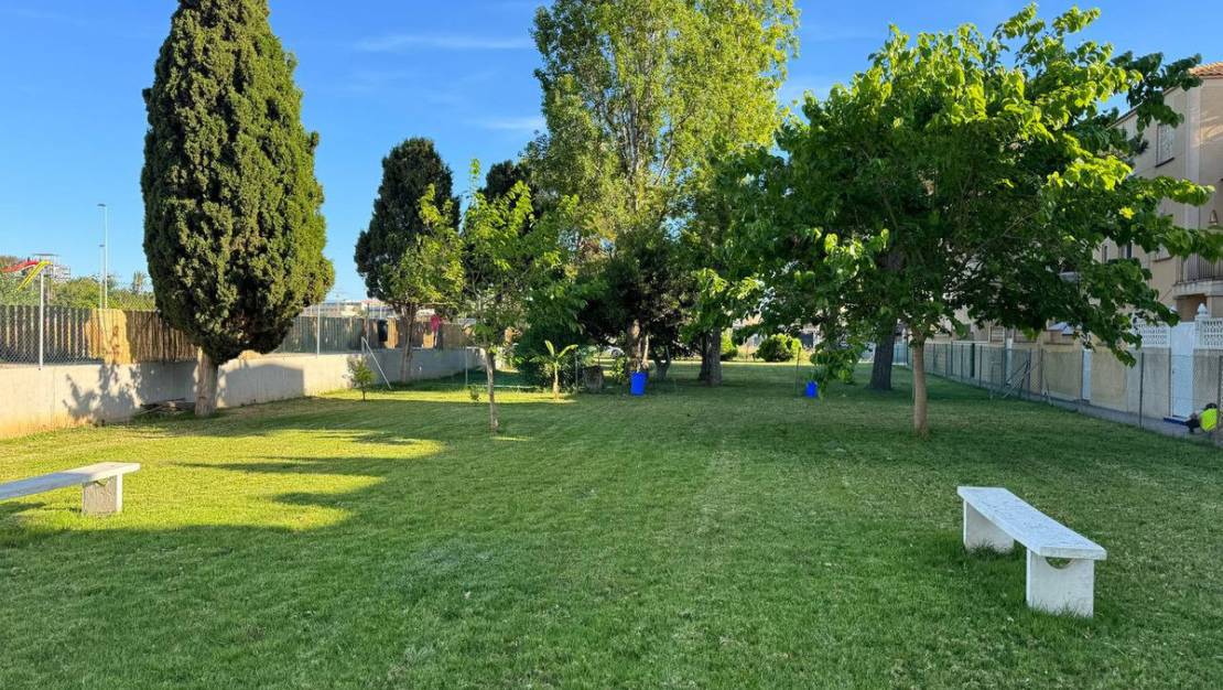 Sale - Villa - Torrevieja - Torrevieja Centro