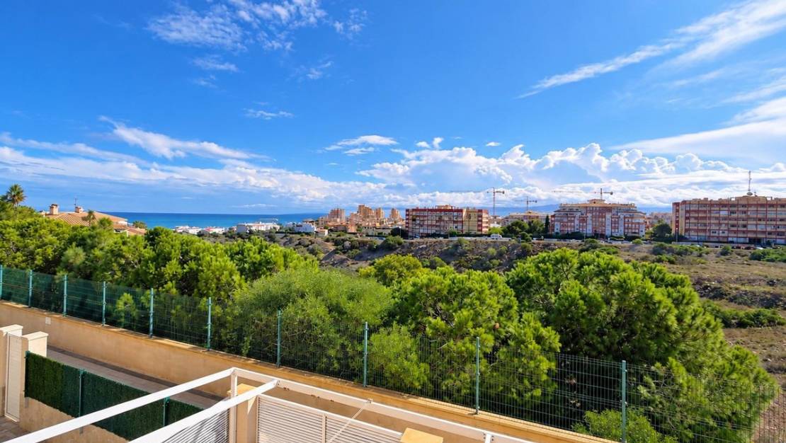 Sale - Villa - Torrevieja - Torrevieja Centro