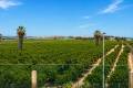 Sale - Villa - Torrevieja - Torrevieja Centro