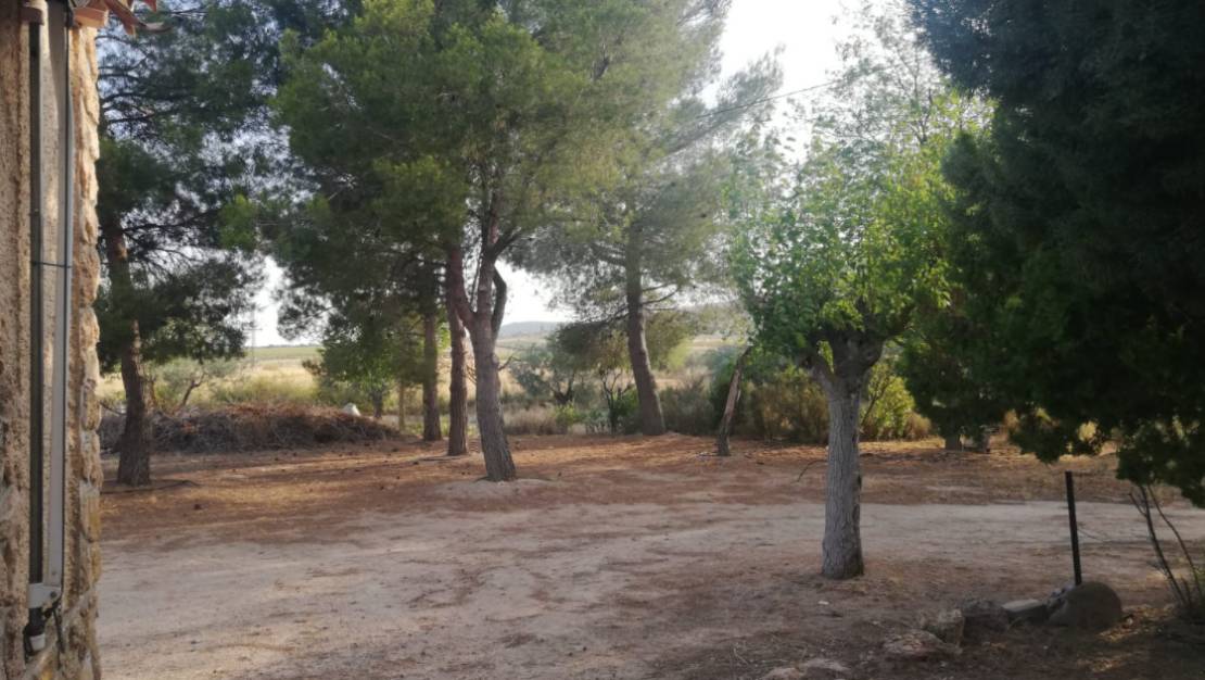 Sale - Villa - Yecla - Yecla Centro