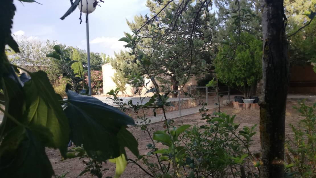 Sale - Villa - Yecla - Yecla Centro