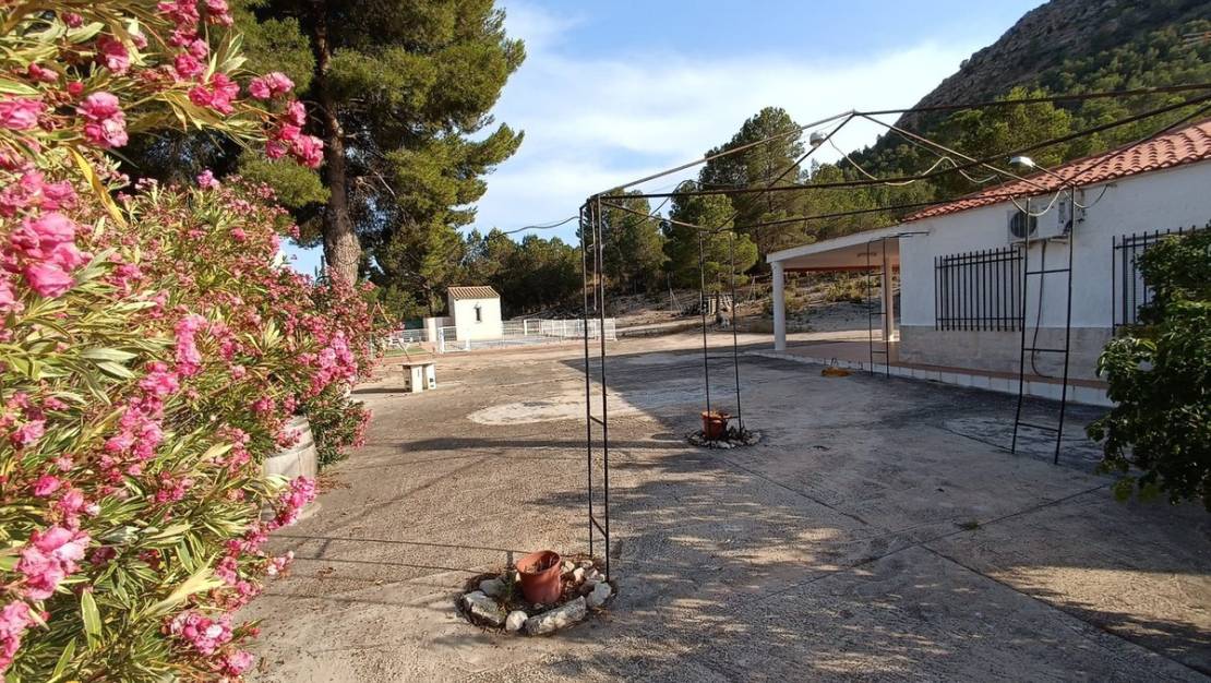 Sale - Villa - Yecla - Yecla Centro