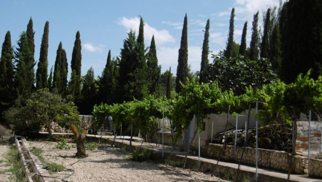 Sale - Villa - Yecla - Yecla Centro