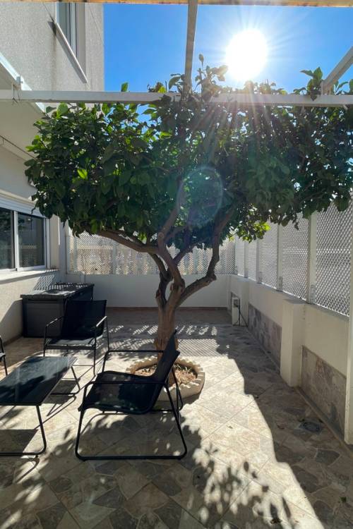 Town House - Sale - Algorfa - La finca golf