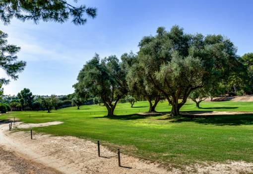 Town House - Sale - Orihuela - RO-80684