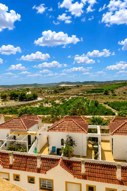 Town House - Venta - Orihuela - Orihuela Centro