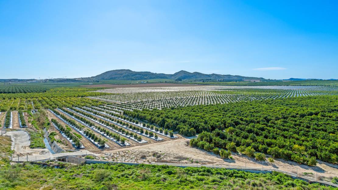 Venta - Apartment - Algorfa - Algorfa Centro