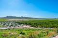 Venta - Apartment - Algorfa - Algorfa Centro