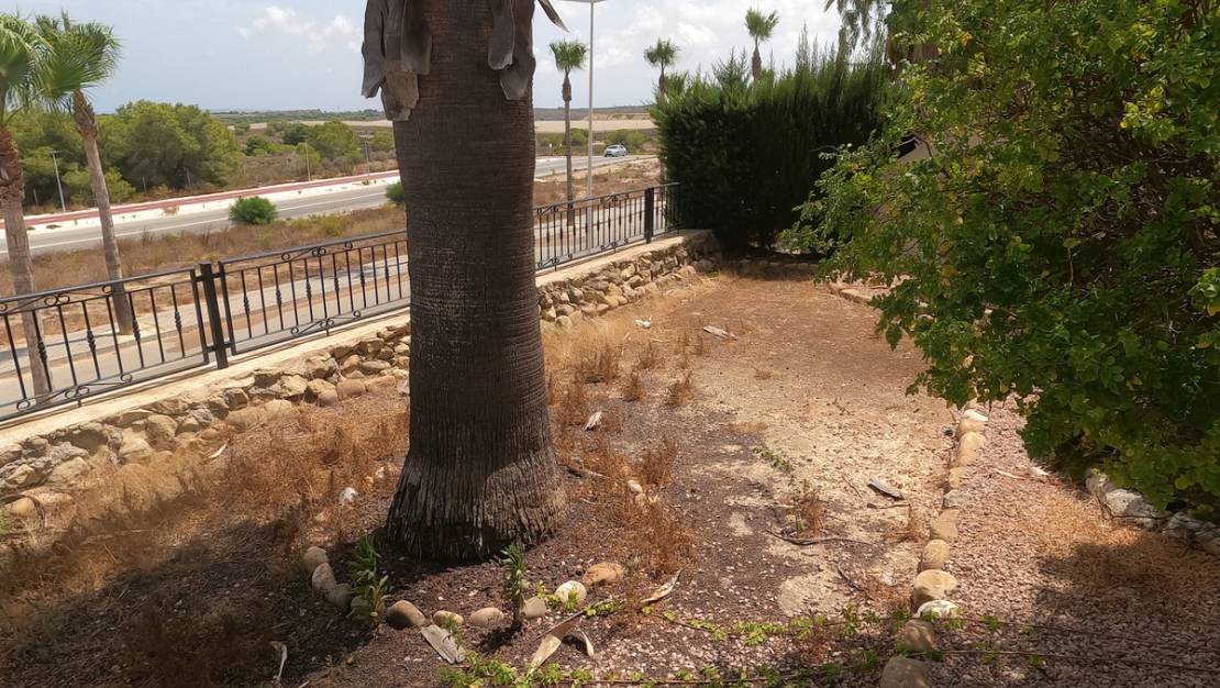Venta - Apartment - Algorfa - Algorfa Centro