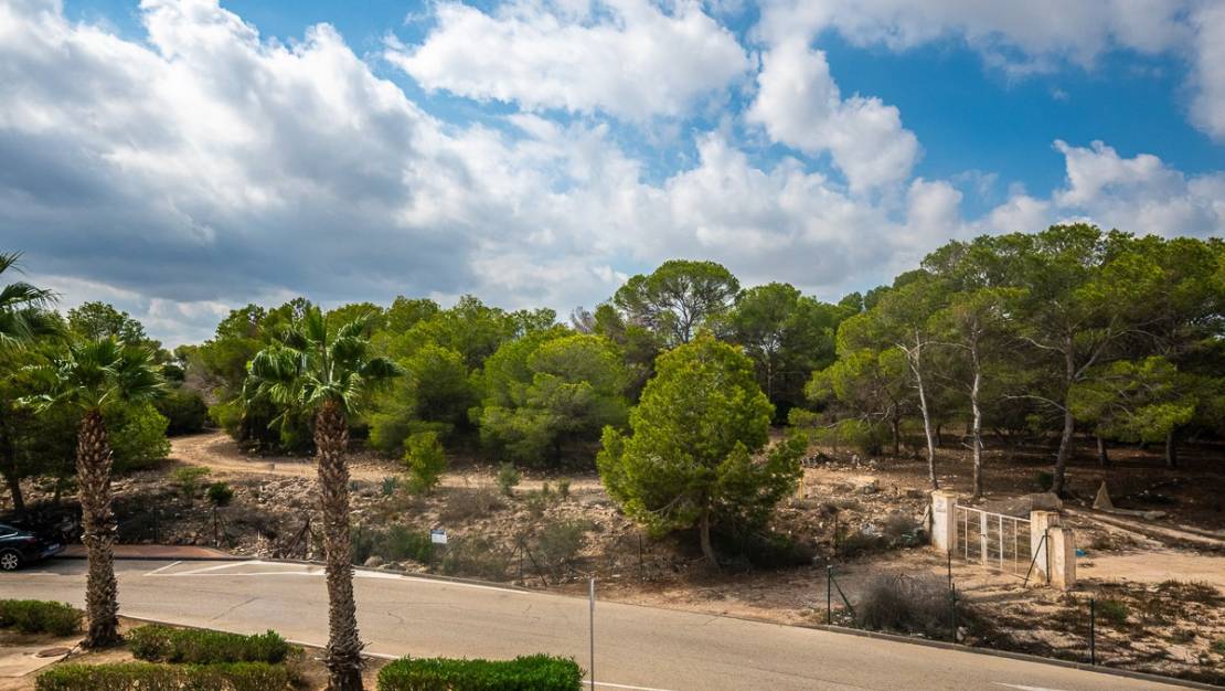 Venta - Apartment - Algorfa - Lo Crispin