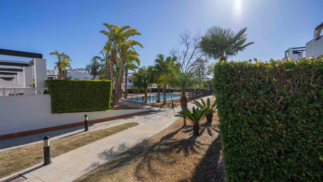 Venta - Apartment - Alhama de Murcia - Condado de Alhama