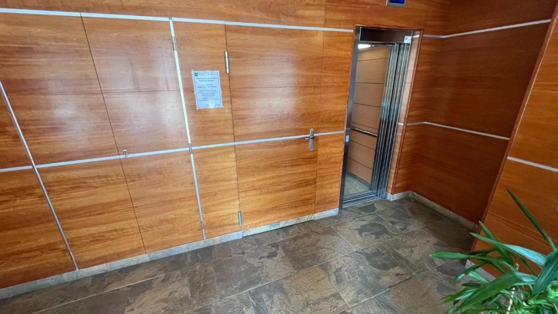 Venta - Apartment - Alicante - Alicante Centro