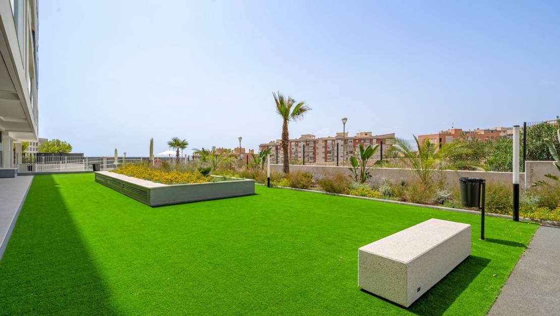 Venta - Apartment - Alicante - Alicante Centro