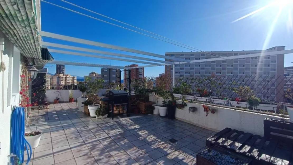 Venta - Apartment - Alicante - Alicante Centro