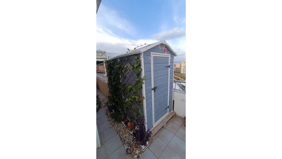 Venta - Apartment - Alicante - Alicante Centro