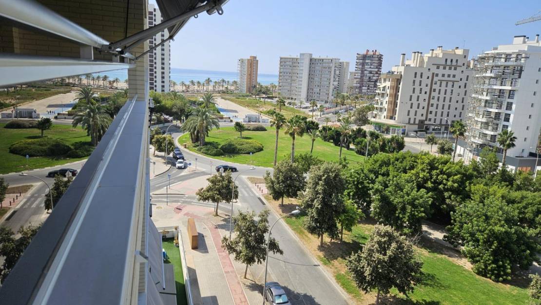 Venta - Apartment - Alicante - Alicante Centro