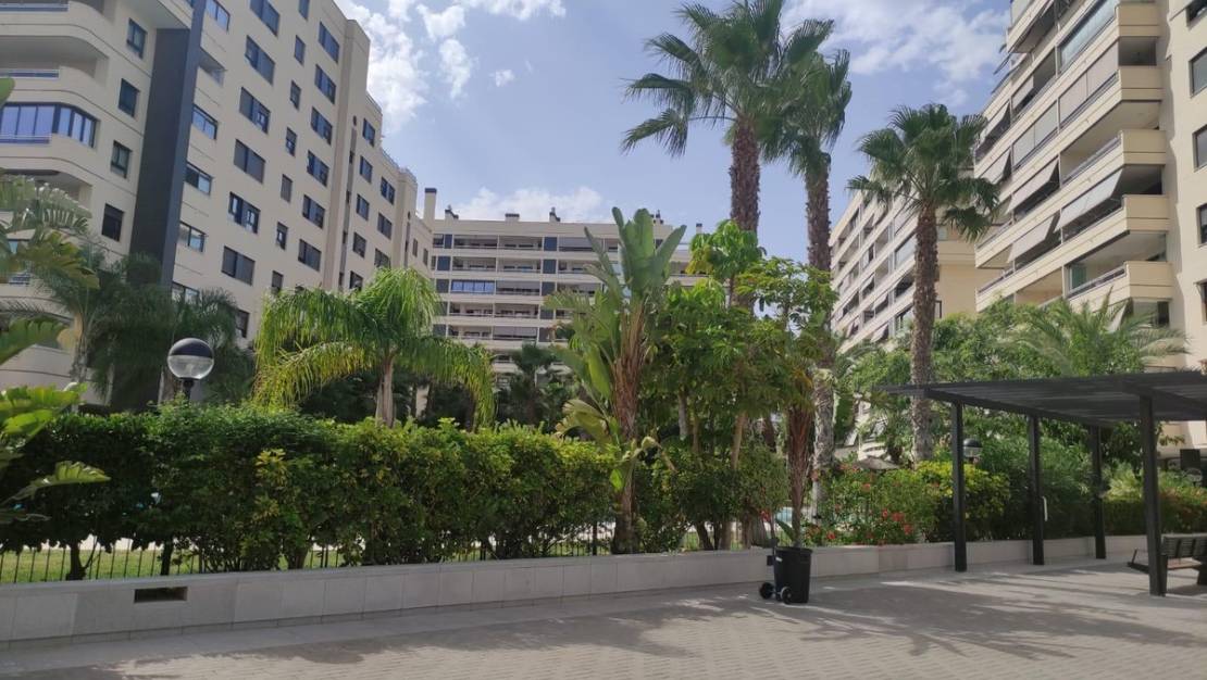 Venta - Apartment - Alicante - Alicante Centro