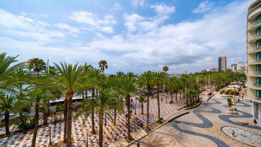 Venta - Apartment - Alicante - Alicante Centro