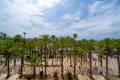 Venta - Apartment - Alicante - Alicante Centro