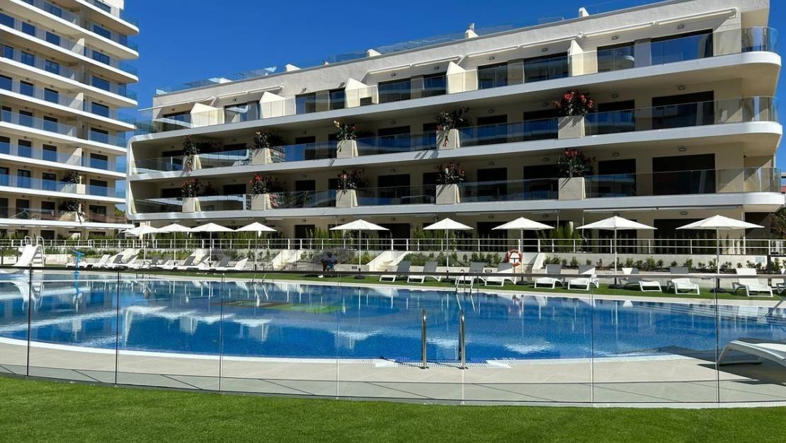 Venta - Apartment - Alicante - Alicante Centro