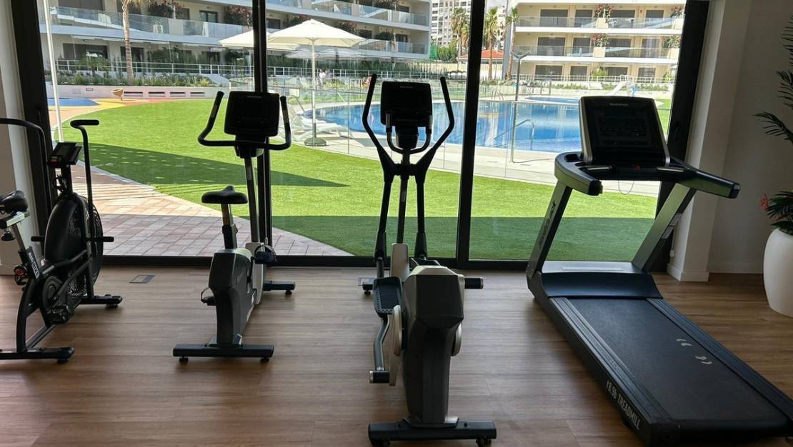 Venta - Apartment - Alicante - Alicante Centro