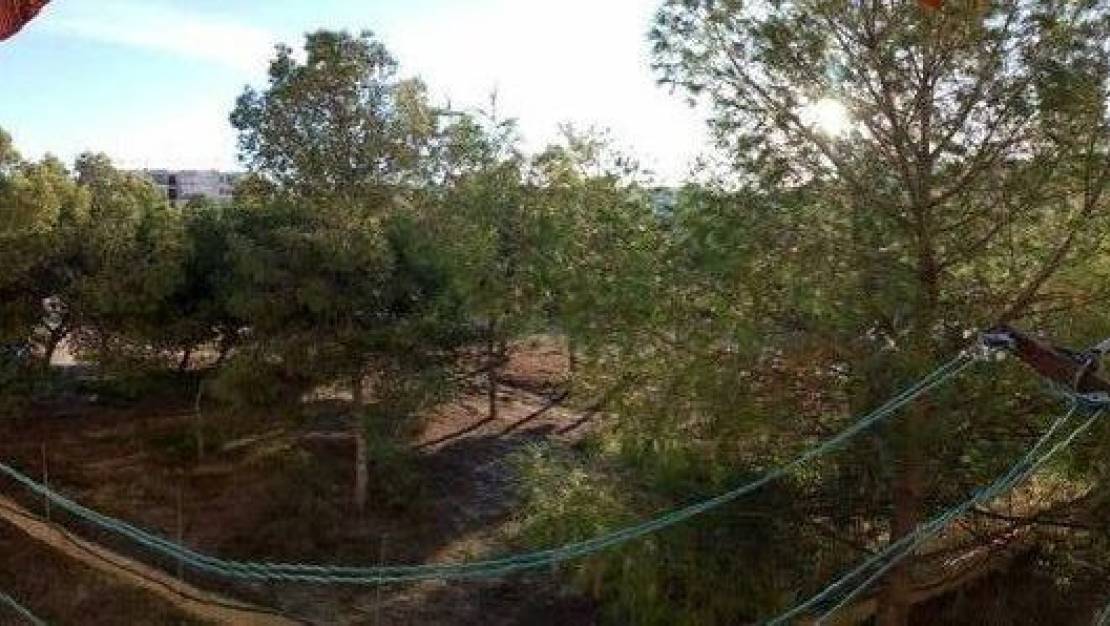 Venta - Apartment - Alicante - Alicante Centro