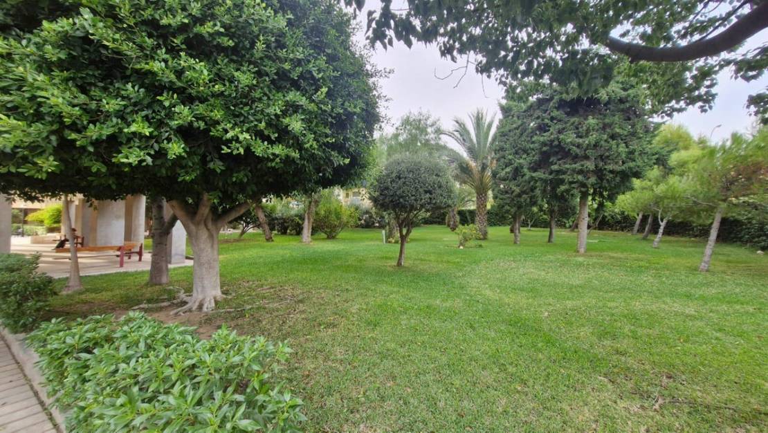 Venta - Apartment - Alicante - Alicante Centro