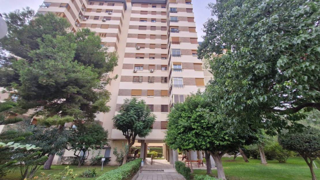 Venta - Apartment - Alicante - Alicante Centro