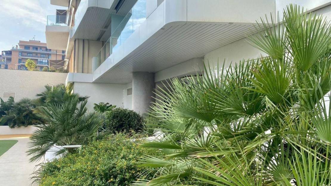 Venta - Apartment - Alicante - Alicante Centro