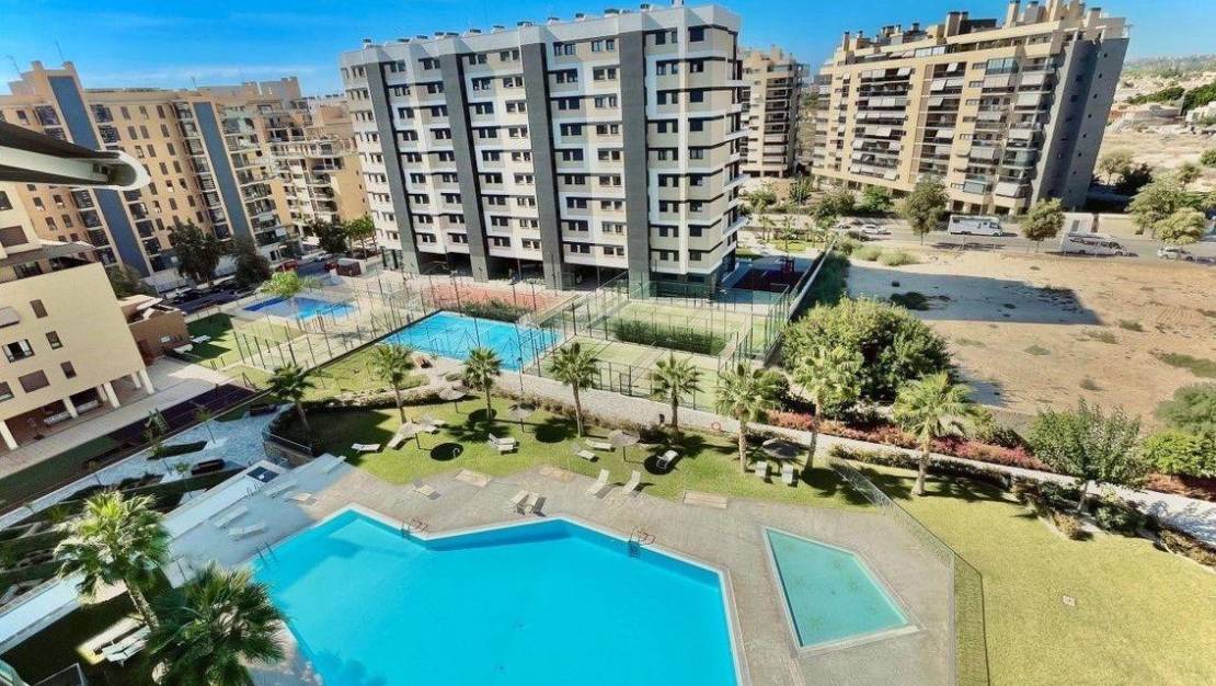 Venta - Apartment - Alicante - Alicante Centro