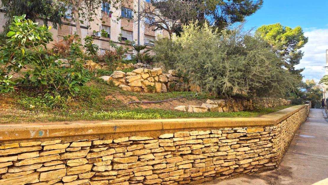 Venta - Apartment - Alicante - Alicante Centro