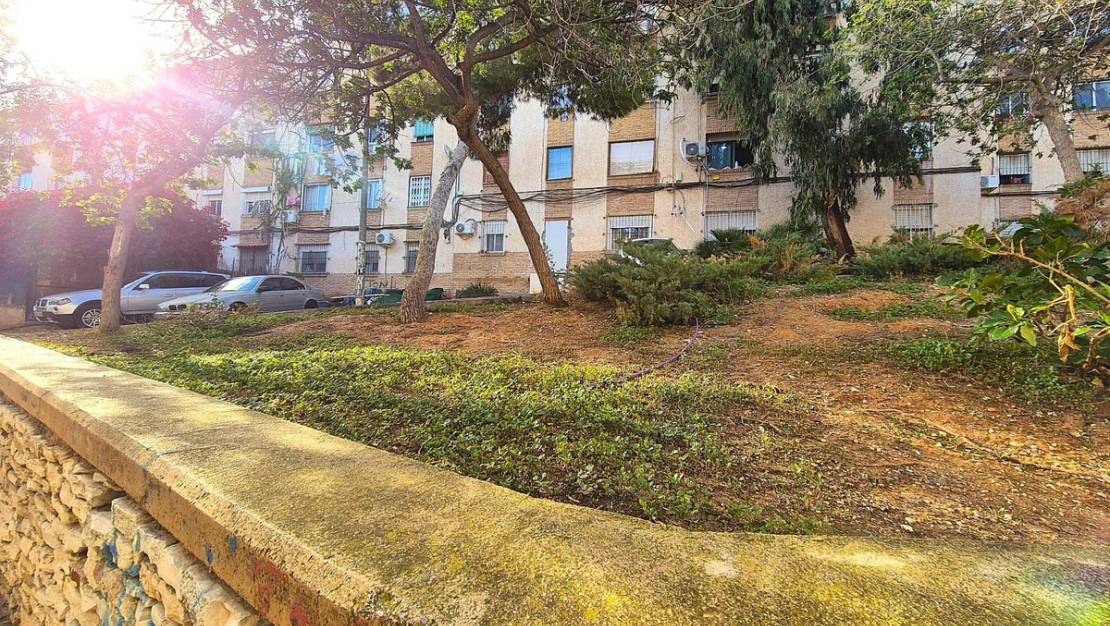 Venta - Apartment - Alicante - Alicante Centro