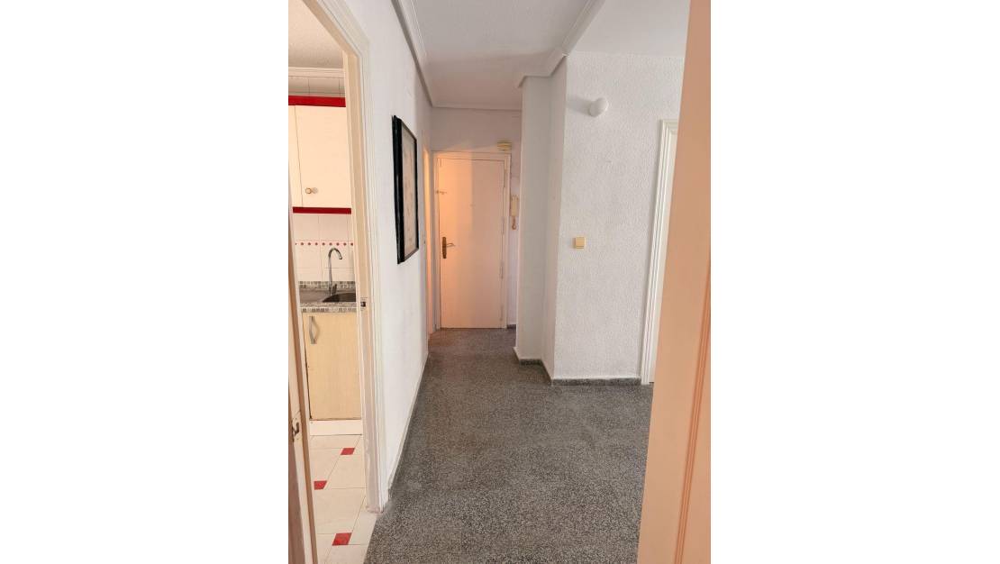 Venta - Apartment - Alicante - Alicante Centro