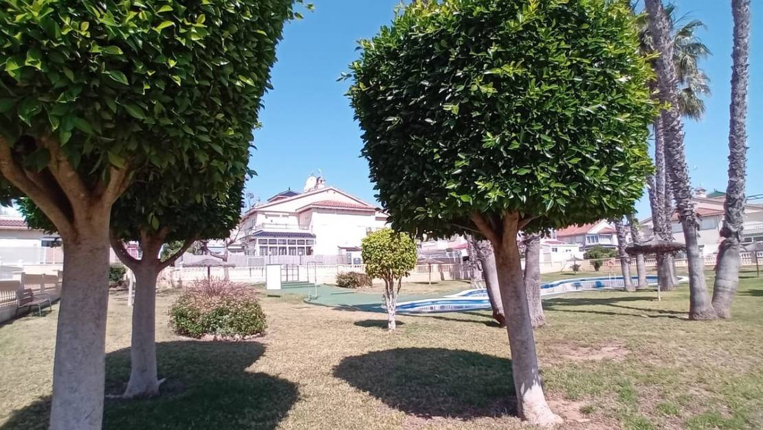 Venta - Apartment - Alicante - Alicante Centro