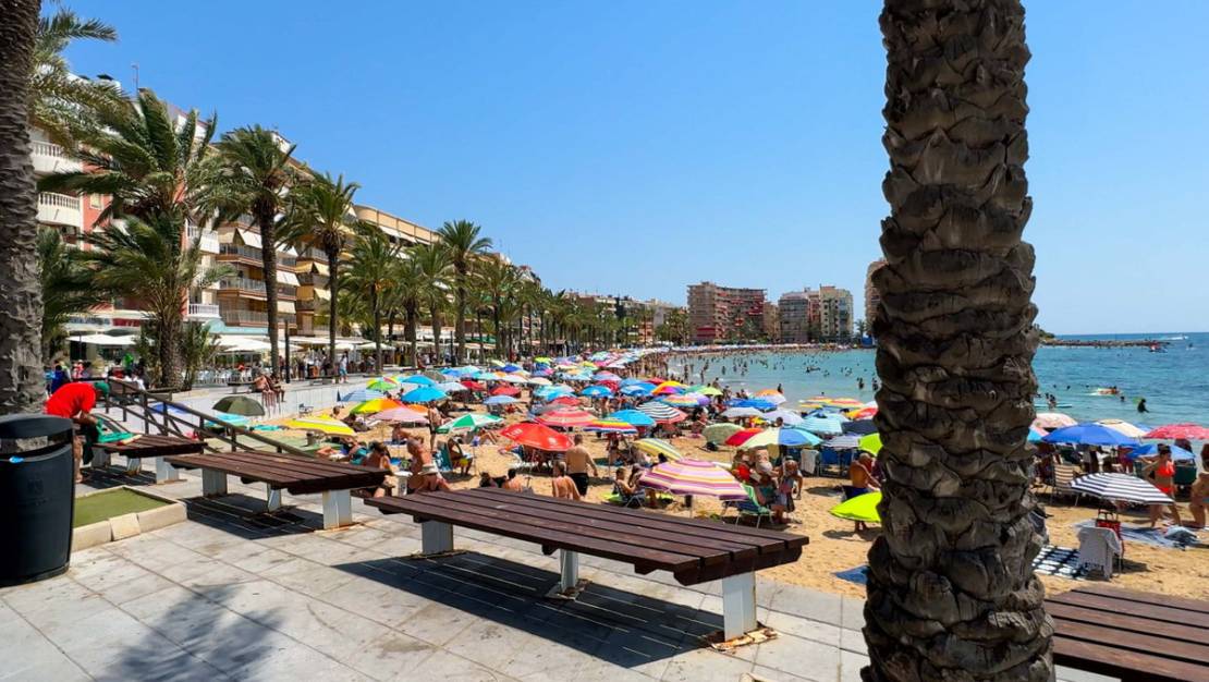 Venta - Apartment - Alicante City - Parque de las Naciones