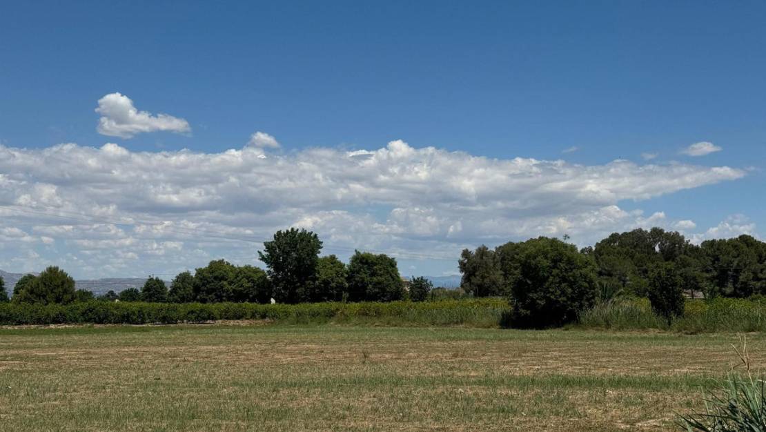 Venta - Apartment - Almoradí - Almoradi Centro