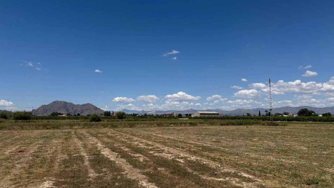 Venta - Apartment - Almoradí - Almoradi Centro