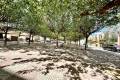 Venta - Apartment - Almoradí - Almoradi Centro