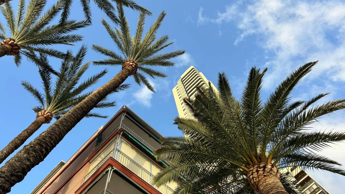 Venta - Apartment - Benidorm - Benidorm Centro