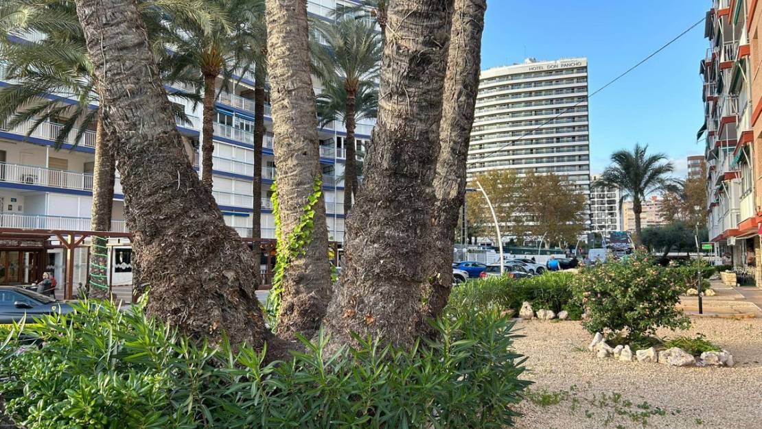 Venta - Apartment - Benidorm - Benidorm Centro