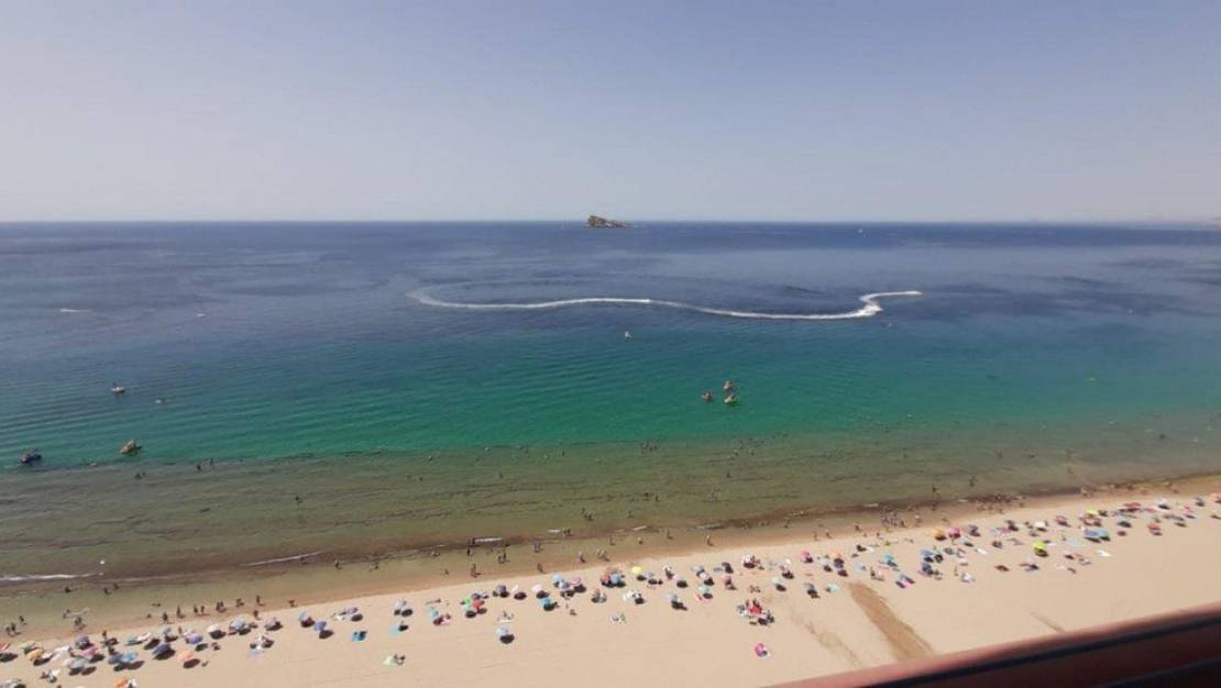 Venta - Apartment - Benidorm - Benidorm Centro