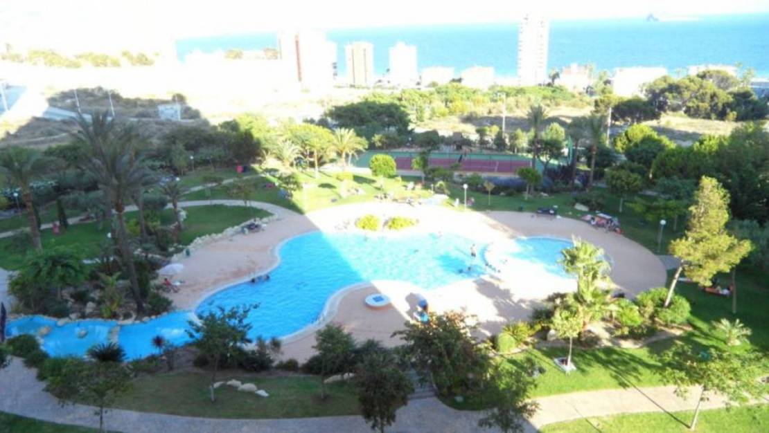 Venta - Apartment - Benidorm - Benidorm Centro